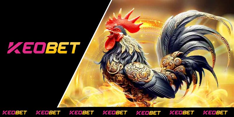 รูปแบบการชนไก่ชั้นยอดที่น่าลองที่ KEOBET
