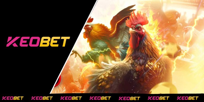 กฎการค้นพบมีดของวันนี้ที่ KEOBET