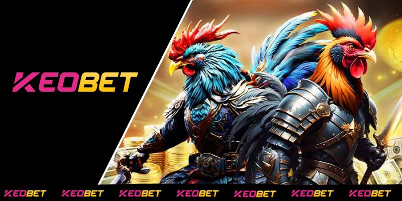 เหตุผลที่ควรชมการชนไก่สดของ Thomo กับ KEOBET